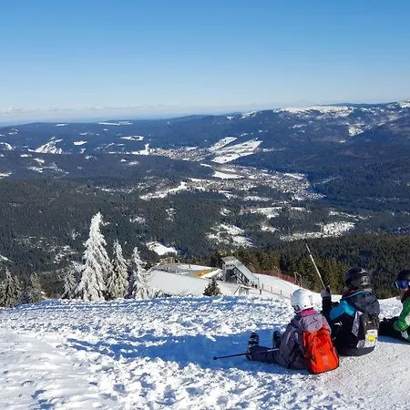 Am Hohen Bogen Haus 98 Eg Διαμέρισμα *